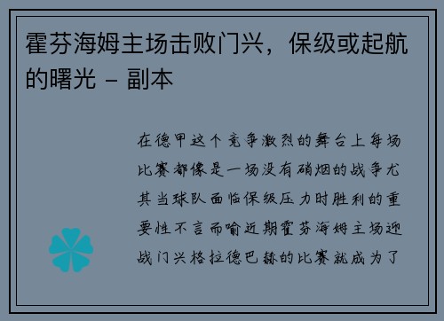 霍芬海姆主场击败门兴，保级或起航的曙光 - 副本