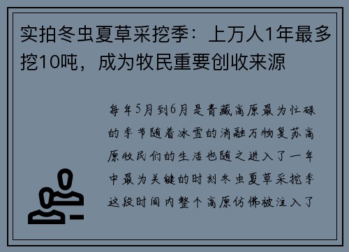实拍冬虫夏草采挖季：上万人1年最多挖10吨，成为牧民重要创收来源
