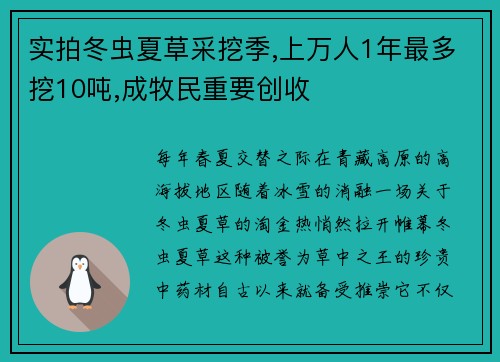实拍冬虫夏草采挖季,上万人1年最多挖10吨,成牧民重要创收