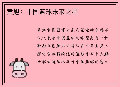 黄旭：中国篮球未来之星