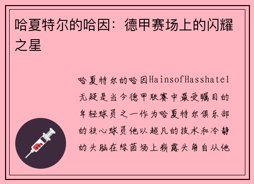 哈夏特尔的哈因：德甲赛场上的闪耀之星